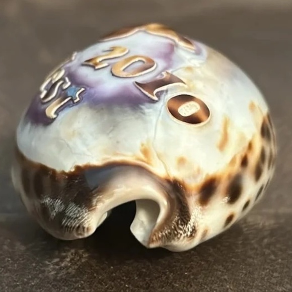 “Key West 2010” engraved sea shell - Picture 6 of 12